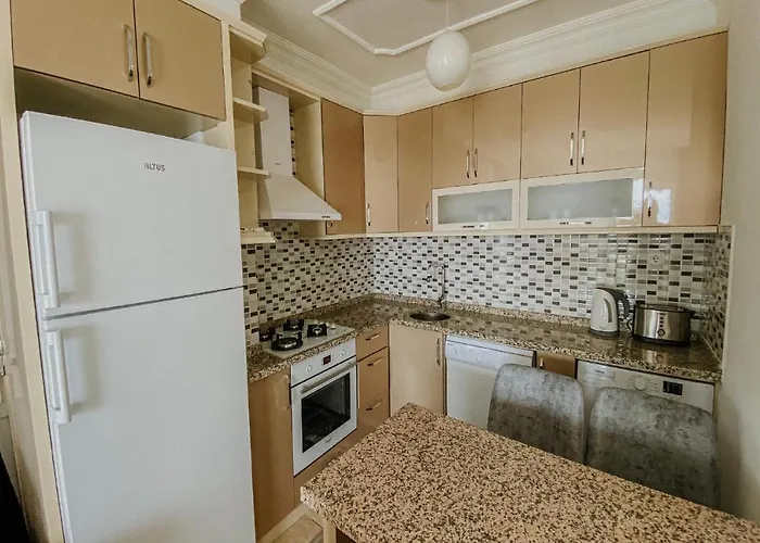 Begonvil - 1 * 카스