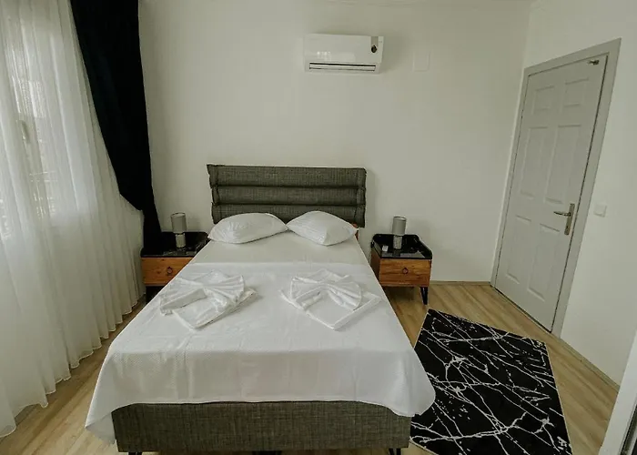 Begonvil - 1 * 카스